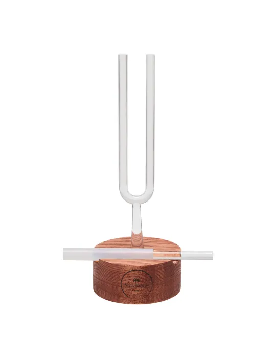 SONIC ENERGY WSS | MusicGoodDeal