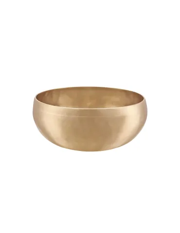  SONIC ENERGY SINGING BOWL SYNTHESIS 1000|MusicGoodDeal 