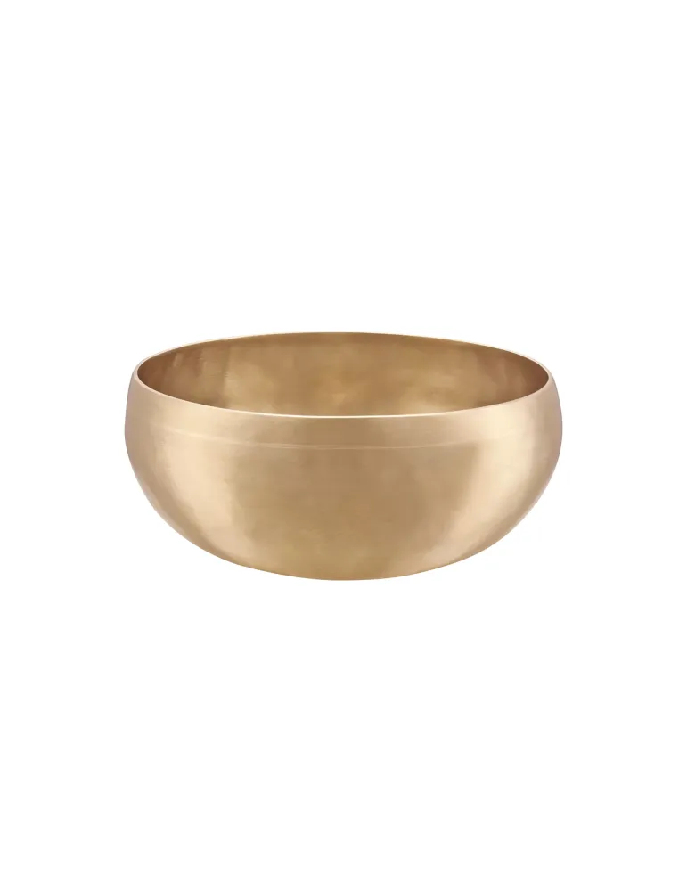  SONIC ENERGY SINGING BOWL SYNTHESIS 1000|MusicGoodDeal 