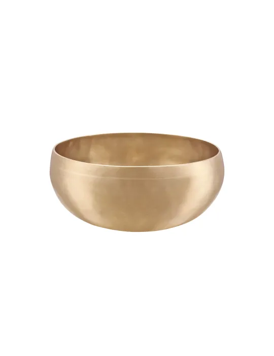  SONIC ENERGY SINGING BOWL SYNTHESIS 1000|MusicGoodDeal 