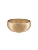 SONIC ENERGY SINGING BOWL SYNTHESIS 1000|MusicGoodDeal 