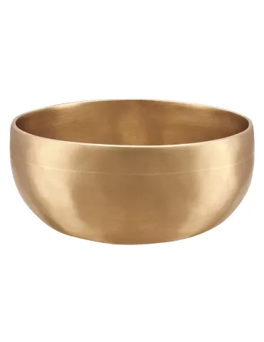 SONIC ENERGY SINGING BOWL UNIVER.500G|MusicGoodDeal 