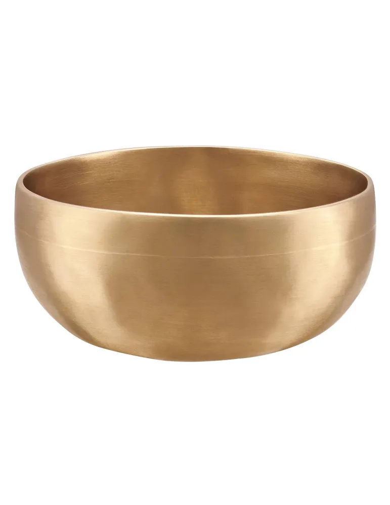 SONIC ENERGY SINGING BOWL UNIVER.500G|MusicGoodDeal 