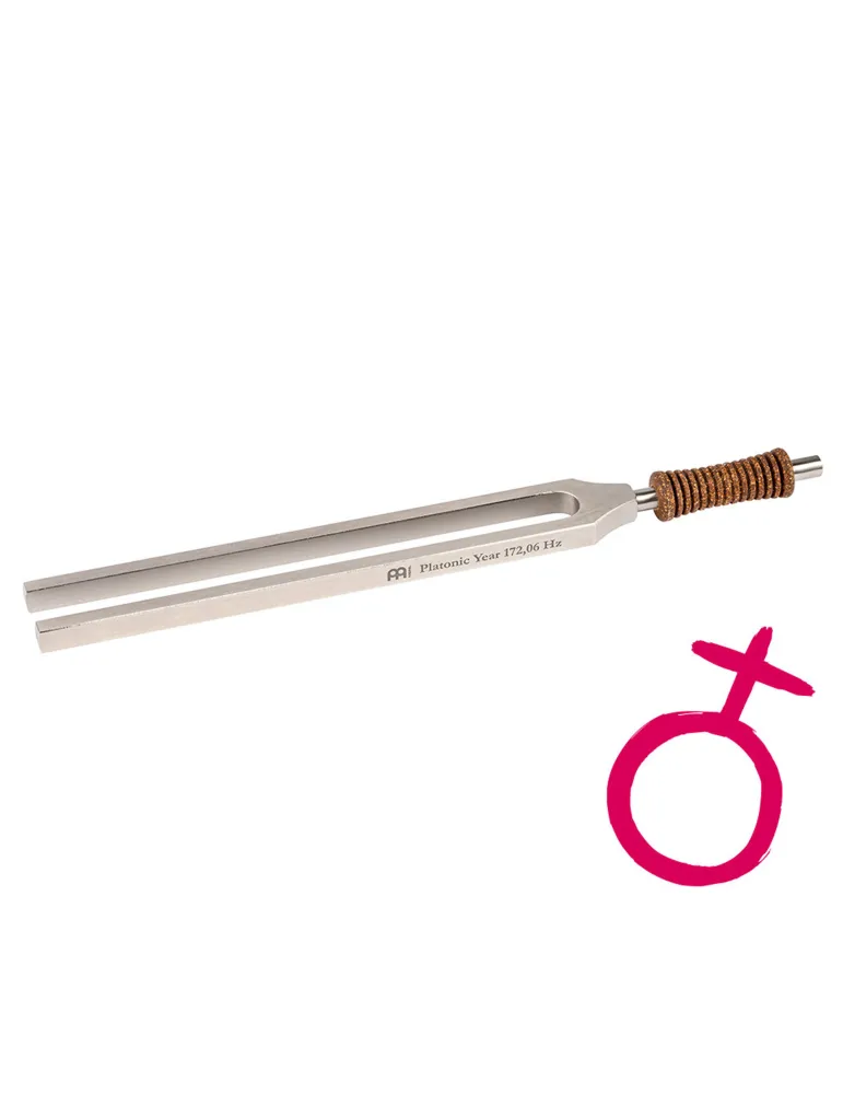 SONIC ENERGY TTF-E-PL | MusicGoodDeal