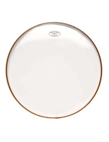  AQUARIAN SKIN AMERICAN VINTAGE 14" CC|MusicGoodDeal 
