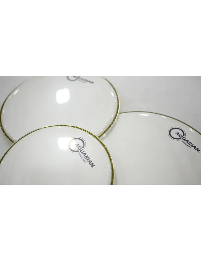  AQUARIAN REF16W REFLECTOR SKIN 16 "WHITE MIRROR|MusicGoodDeal 