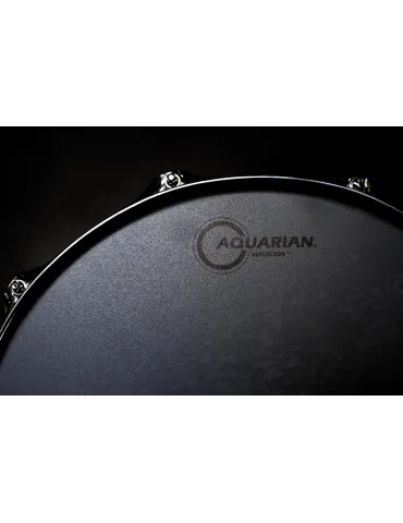  AQUARIAN REF20SK SKIN REFLECTOR 20 "S.KICK GR C|MusicGoodDeal 