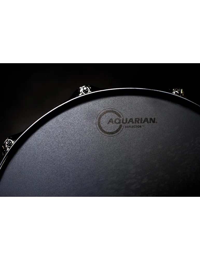  AQUARIAN REF20SK SKIN REFLECTOR 20 "S.KICK GR C|MusicGoodDeal 