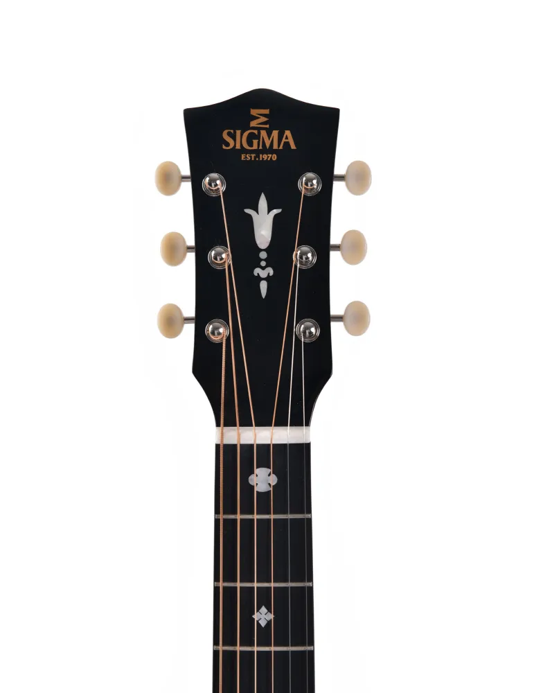  FUNDA SIGMA EDICIÓN ESPECIAL SJM-SG45-AN|MusicGoodDeal 