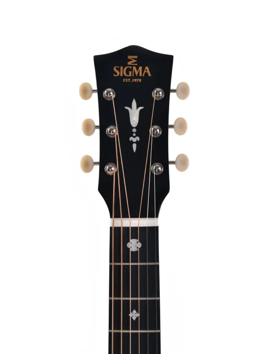  FUNDA SIGMA EDICIÓN ESPECIAL SJM-SG45-AN|MusicGoodDeal 