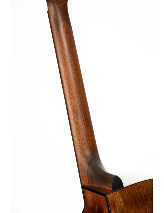 CORT E60CENAT | MusicGoodDeal