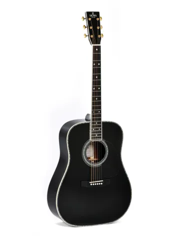  SIGMA SPECIAL EDITION DT-42 NASHV. ETUI|MusicGoodDeal 