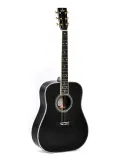  SIGMA SPECIAL EDITION DT-42 NASHV. ETUI|MusicGoodDeal 