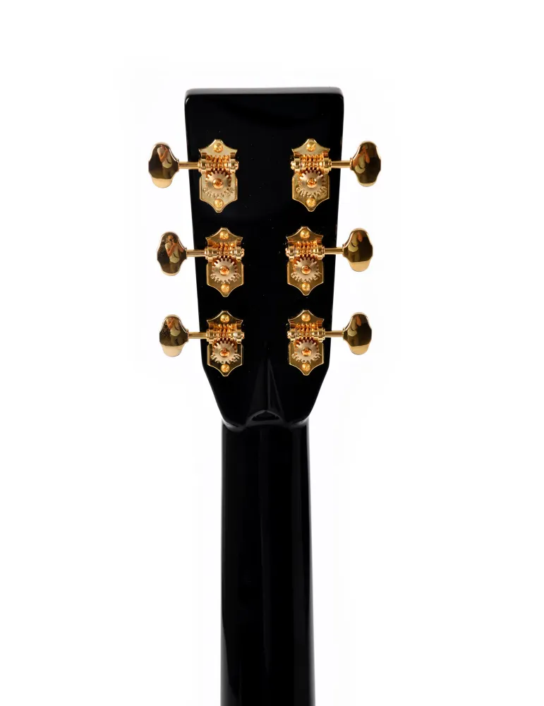  SIGMA EDICIÓN ESPECIAL DT-42 NASHV. ETUI|MusicGoodDeal 