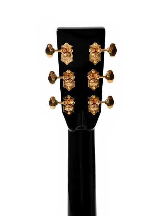  SIGMA EDICIÓN ESPECIAL DT-42 NASHV. ETUI|MusicGoodDeal 