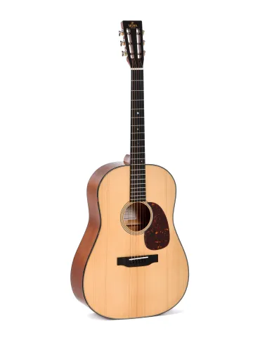  SIGMA STANDARD SERIE SDM-18S ETUI SSC-D|MusicGoodDeal 
