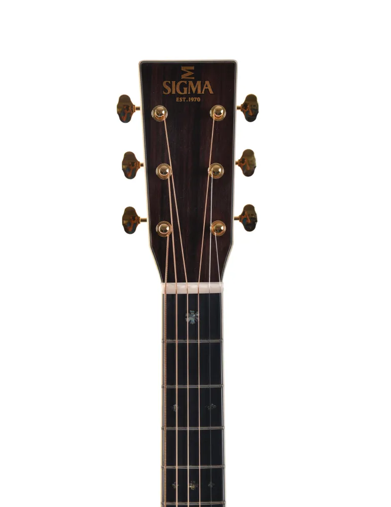  SERIE SIGMA ESTÁNDAR DT-42 Y CAJA SSC-D|MusicGoodDeal 