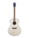  BREEDLOVE DISCOVERY S CONCERTO|MusicGoodDeal 