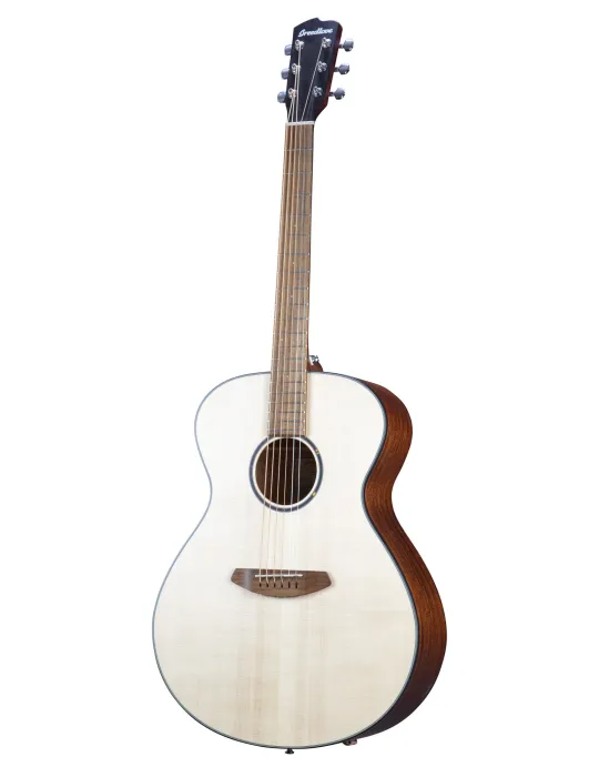  CONCIERTO DEL DESCUBRIMIENTO DE BREEDLOVE|MusicGoodDeal 