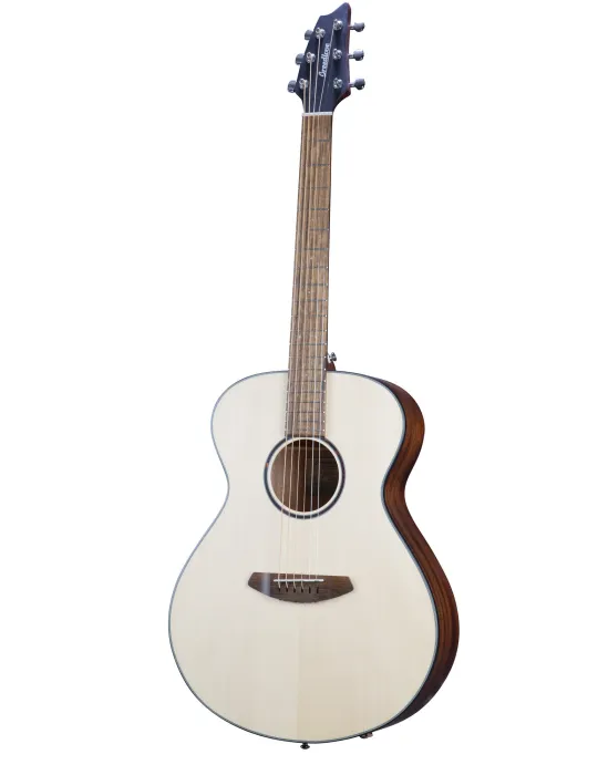  BREEDLOVE DISCOVERY S CONCERT|MusicGoodDeal 