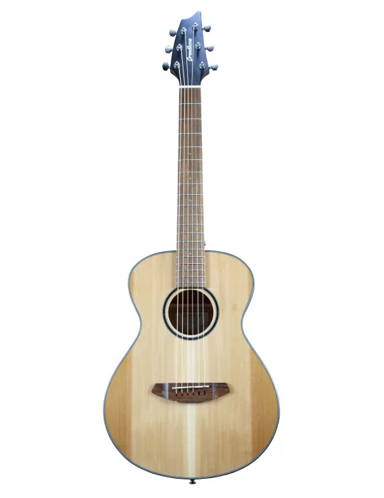  BREEDLOVE DISCOVERY S COMPANION|MusicGoodDeal 