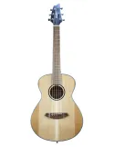  BREEDLOVE DISCOVERY S COMPANION|MusicGoodDeal 