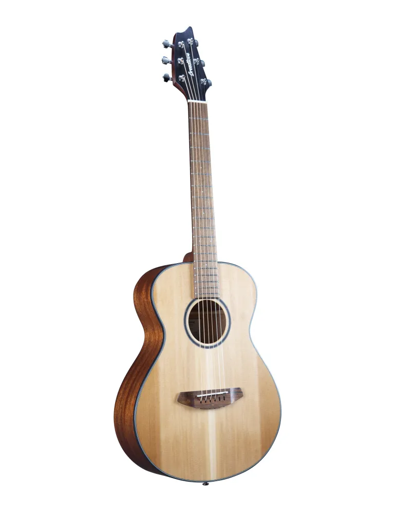  BREEDLOVE DISCOVERY S COMPANION|MusicGoodDeal 