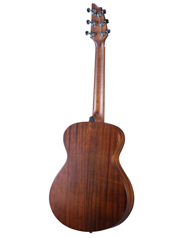  BREEDLOVE DISCOVERY S COMPANION|MusicGoodDeal 