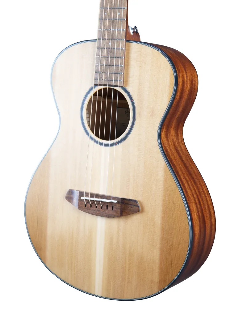  BREEDLOVE DISCOVERY S COMPANION|MusicGoodDeal 