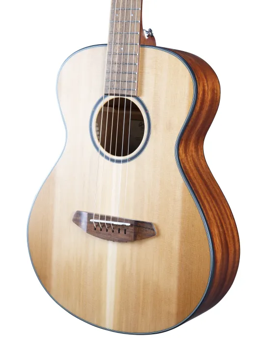  BREEDLOVE DISCOVERY S COMPANION|MusicGoodDeal 