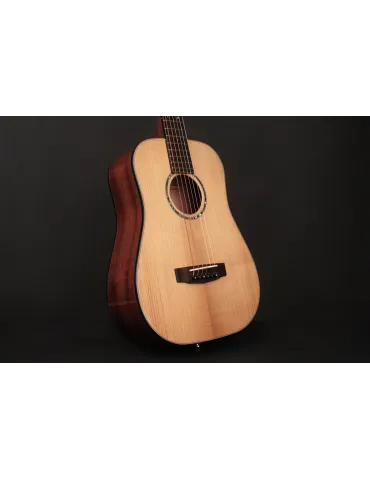  CORT GOLDMINIBNAT BRILLIANT NATURAL GOLD MINI GUITAR|MusicGoodDeal  2
