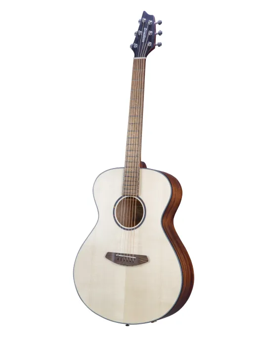  CONCIERTO DE BREEDLOVE PARA ZURDOS|MusicGoodDeal 