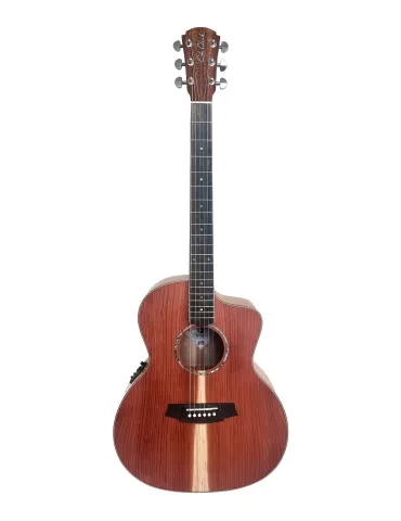 COLE CLARK SAN1EC-RDM | MusicGoodDeal
