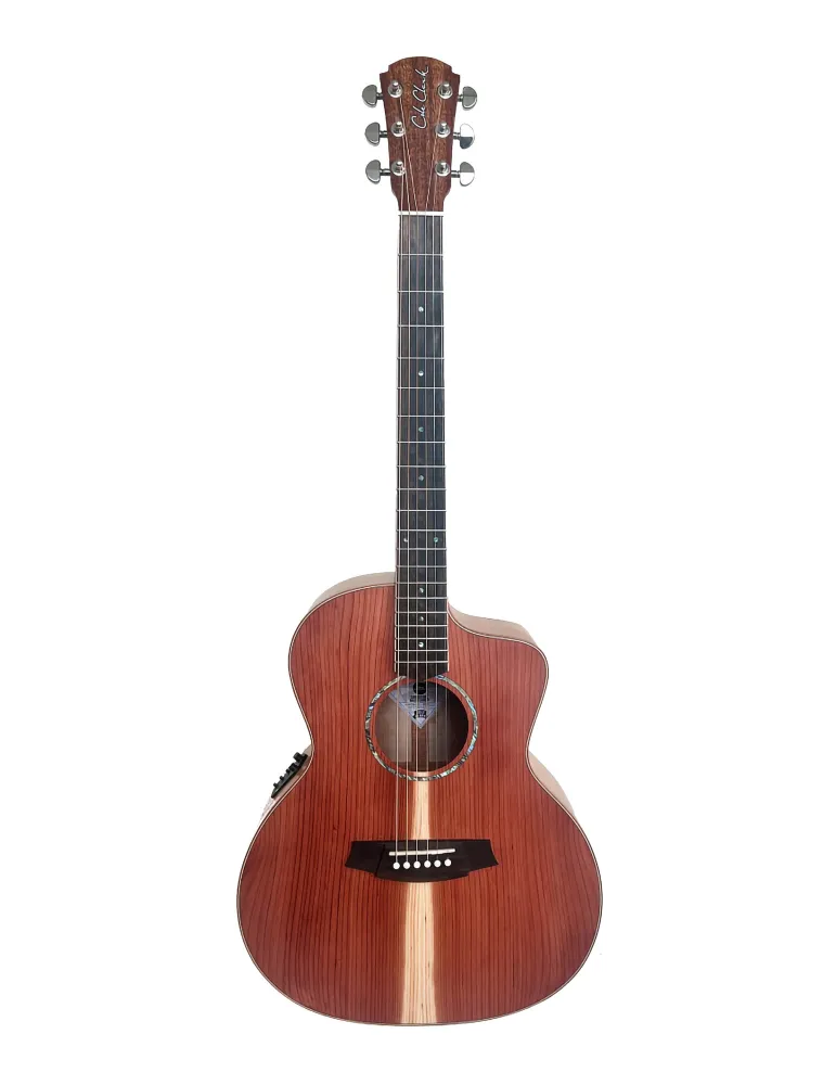 COLE CLARK SAN1EC-RDM | MusicGoodDeal