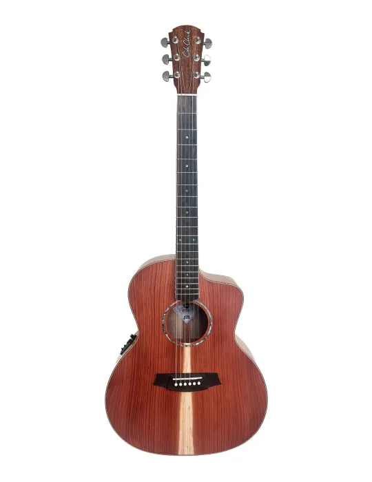 COLE CLARK SAN1EC-RDM | MusicGoodDeal
