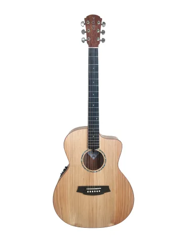 COLE CLARK SAN1EC-BM | MusicGoodDeal