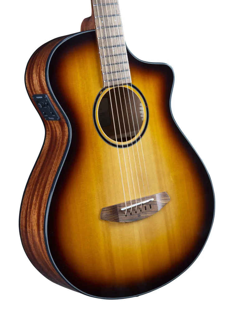  BREEDLOVE DISCOVERY S CONCERTINA EDGE CE|MusicGoodDeal 