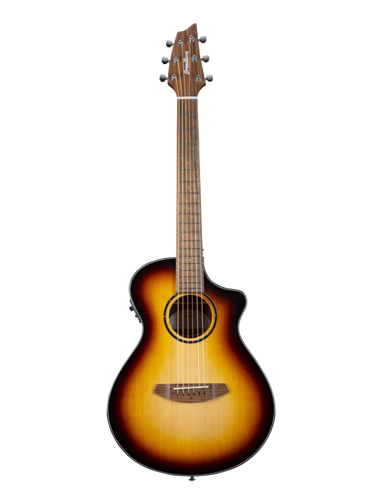  BREEDLOVE DISCOVERY SCOMPANION CE EDGE|MusicGoodDeal 