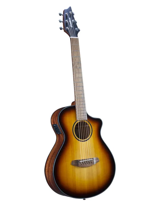  BREEDLOVE DISCOVERY SCOMPANION CE EDGE|MusicGoodDeal 
