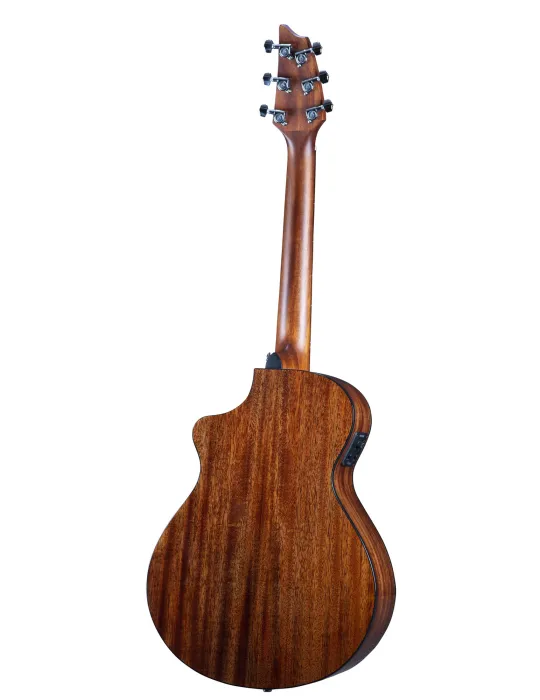  BREEDLOVE DISCOVERY SCOMPANION CE EDGE|MusicGoodDeal 