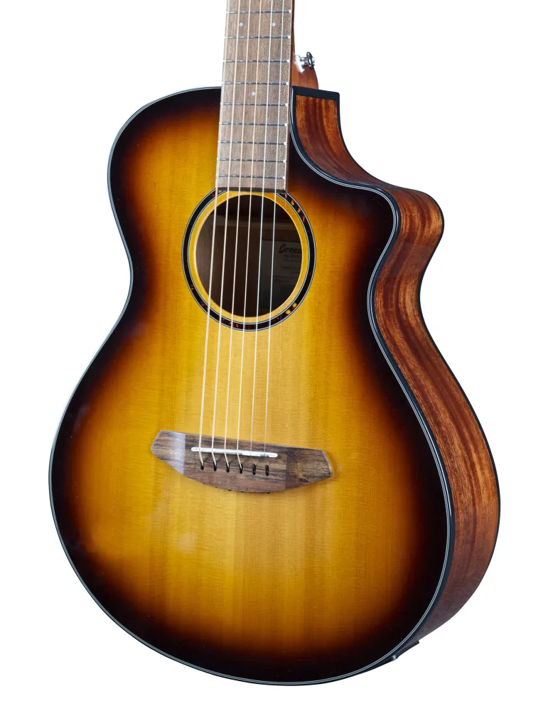  BREEDLOVE DISCOVERY SCOMPANION CE EDGE|MusicGoodDeal 