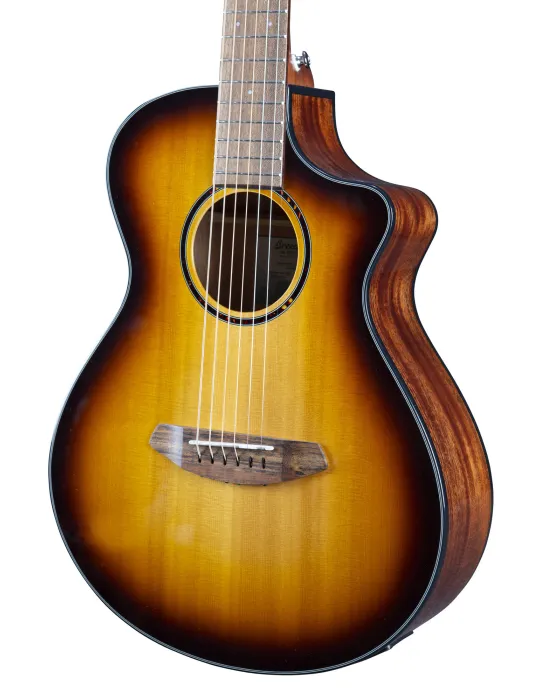  BREEDLOVE DISCOVERY SCOMPANION CE EDGE|MusicGoodDeal 