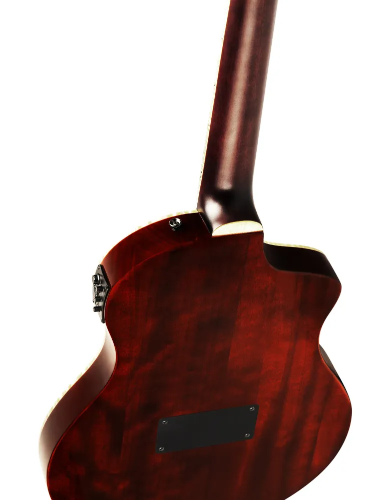 ORTEGA RTPDLX-ACA-L | MusicGoodDeal