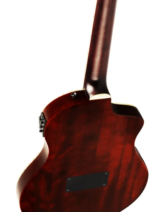 ORTEGA RTPDLX-ACA-L | MusicGoodDeal