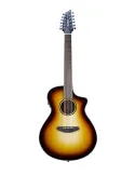  BREEDLOVE DISCOVERY S CONCERT THIS 12 C|MusicGoodDeal 