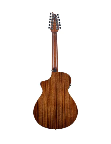 CONCIERTO DE BREEDLOVE ESTE 12 C|MusicGoodDeal  2