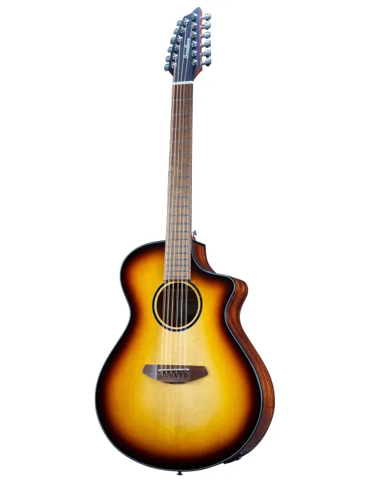  BREEDLOVE DISCOVERY S CONCERT EDGE 12C|MusicGoodDeal 