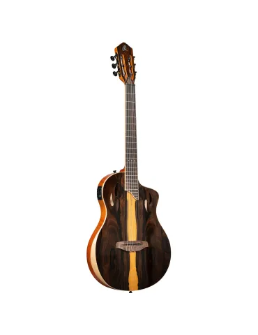 ORTEGA RTP-LTD | MusicGoodDeal 2