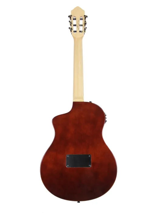ORTEGA RTPFE-1 | MusicGoodDeal
