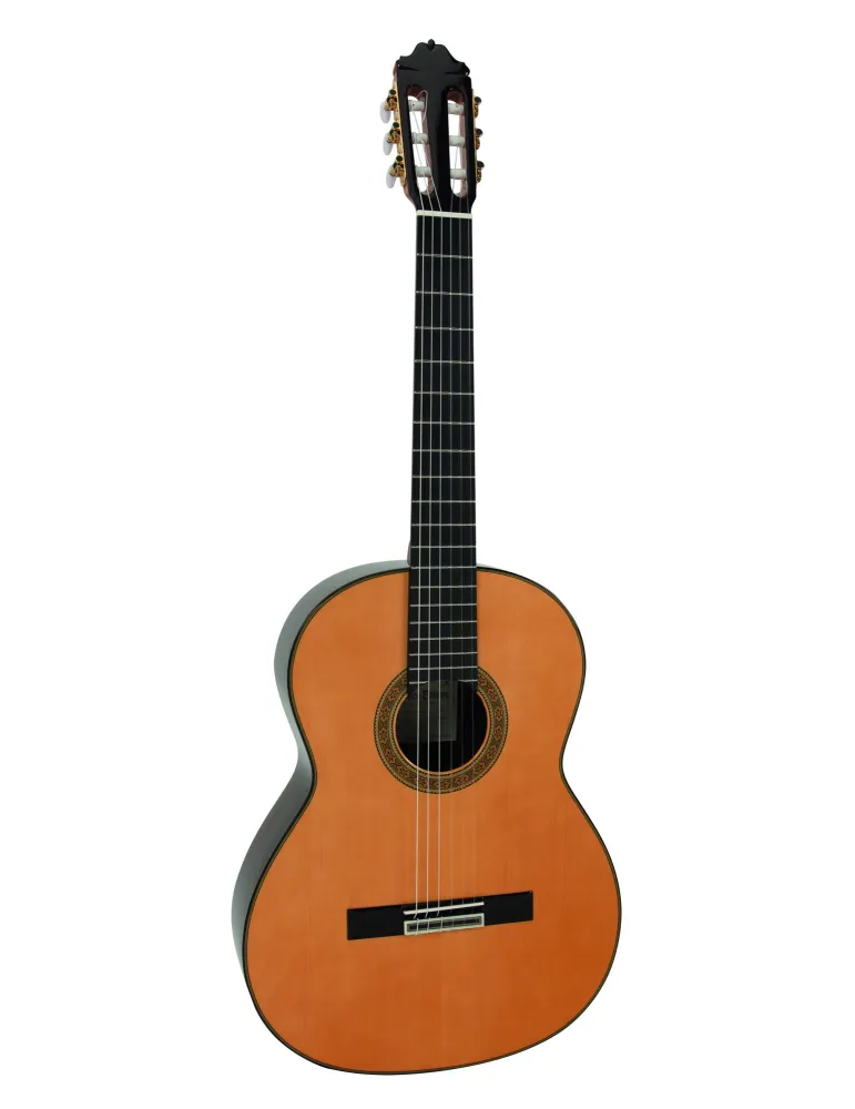  ESTEVE GUITAR MOD.11 CEDAR SOFT CASE|MusicGoodDeal 